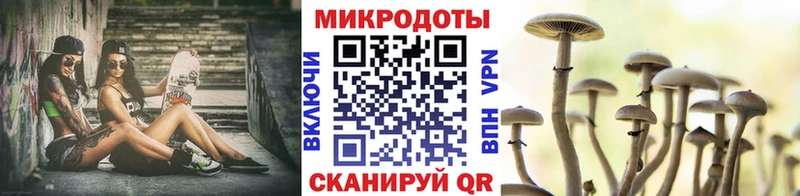 Псилоцибиновые грибы Magic Shrooms  Купить закладки  Власиха 